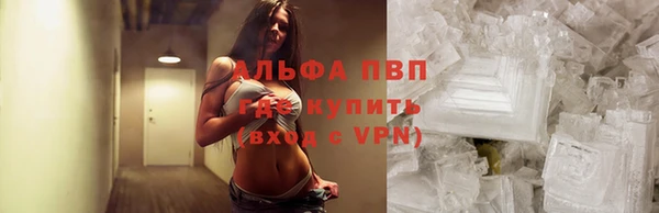 стафф Абинск