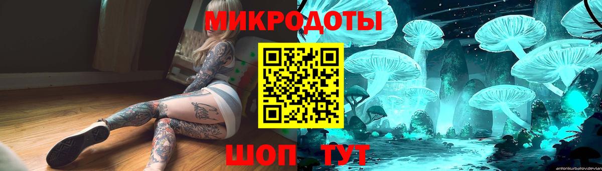 Галлюциногенные грибы MAGIC MUSHROOMS Алатырь